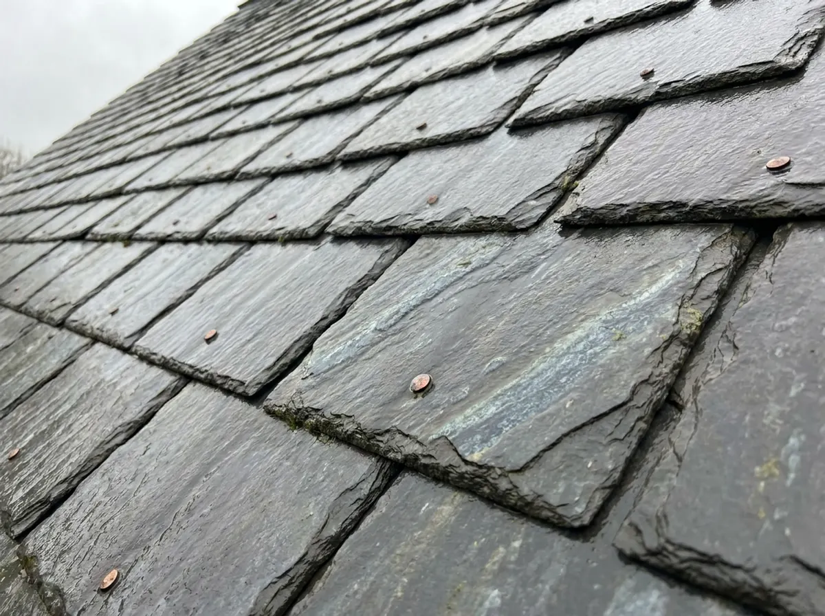 Close-up van een nat leien dak met koperen nagels